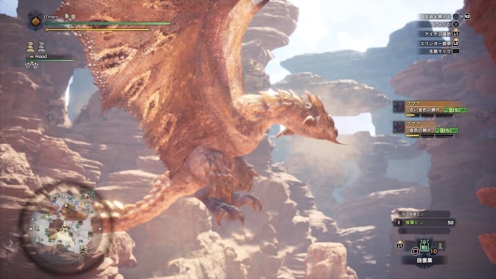 Mhw Ib リオレイア希少種の出現方法と装備まとめ ウマロのゲームブログ