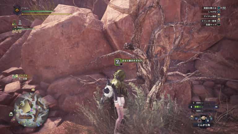 Mhw Ib オタカラ情報の場所と報酬まとめ 荒地のまもり族編 ウマロのゲームブログ