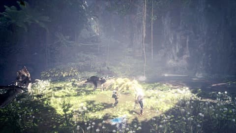 Mhw Ib 導きの地 の仕様をわかりやすく解説します 初心者向け ウマロのゲームブログ