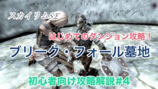 スカイリムse 序盤の攻略解説 ドラゴンとの死闘 ミルムルニル戦 初心者向け ウマロのゲームブログ