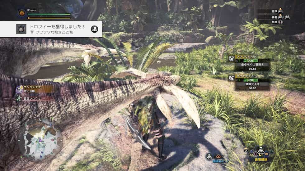 Mhw レアな環境生物の集め方 トロフィー取得方法まとめ ウマロのゲームブログ