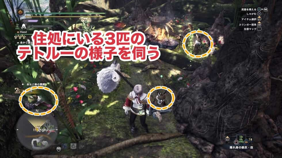 Mhw Ib 古代樹の森 の観察依頼をクリアする方法 獣人族観察記録所 ウマロのゲームブログ